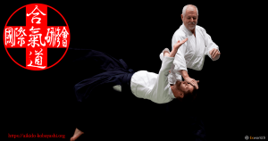 Kobayashi Ryu Aikido