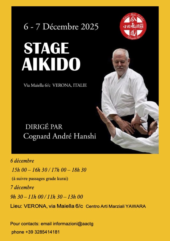Cognard Hanshi Verona Aikido FRA